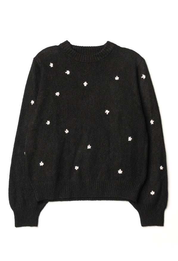 Gearda Embroidered Alpaca Pullover Black